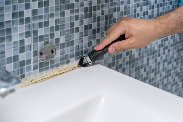 Best Black Mold Removal  in Waverly, TN