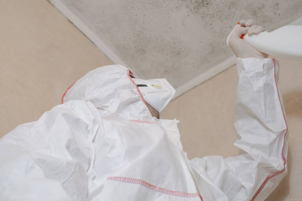 Best Fast Mold Removal  in Waverly, TN